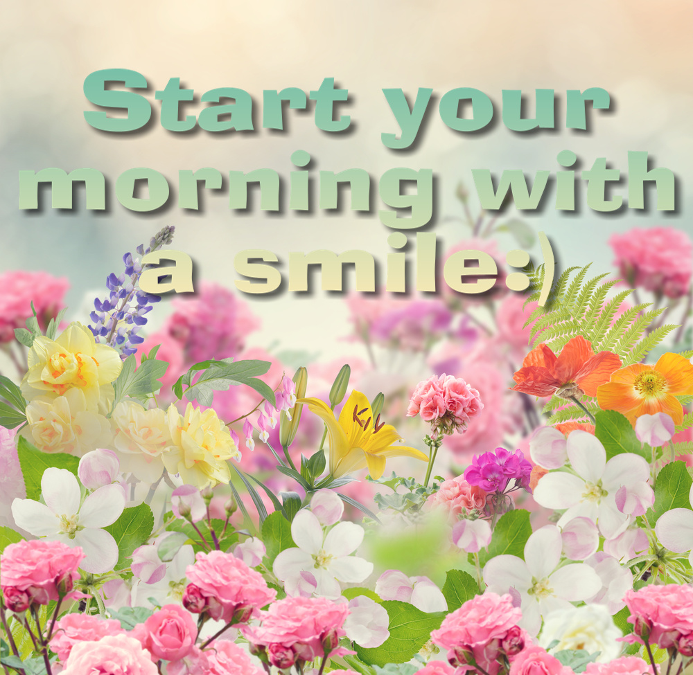 Blossom of Colorful Flowers with "Start your morning with a smile" wish.