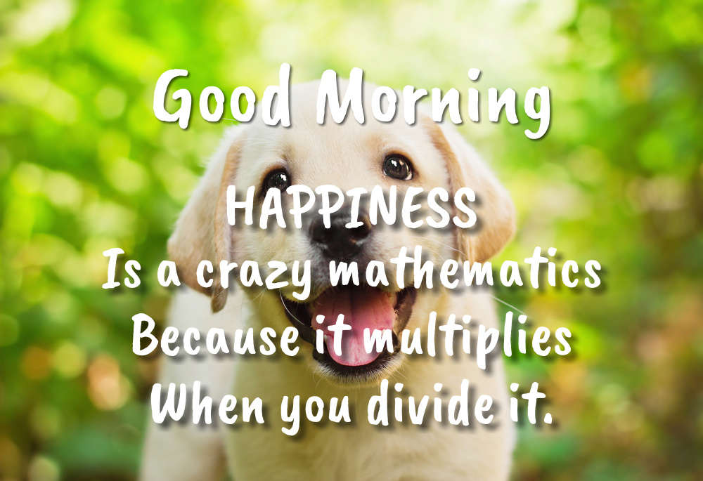 Close-up photo of a cute labrador puppy on the background of morning nature with wise words about happiness.