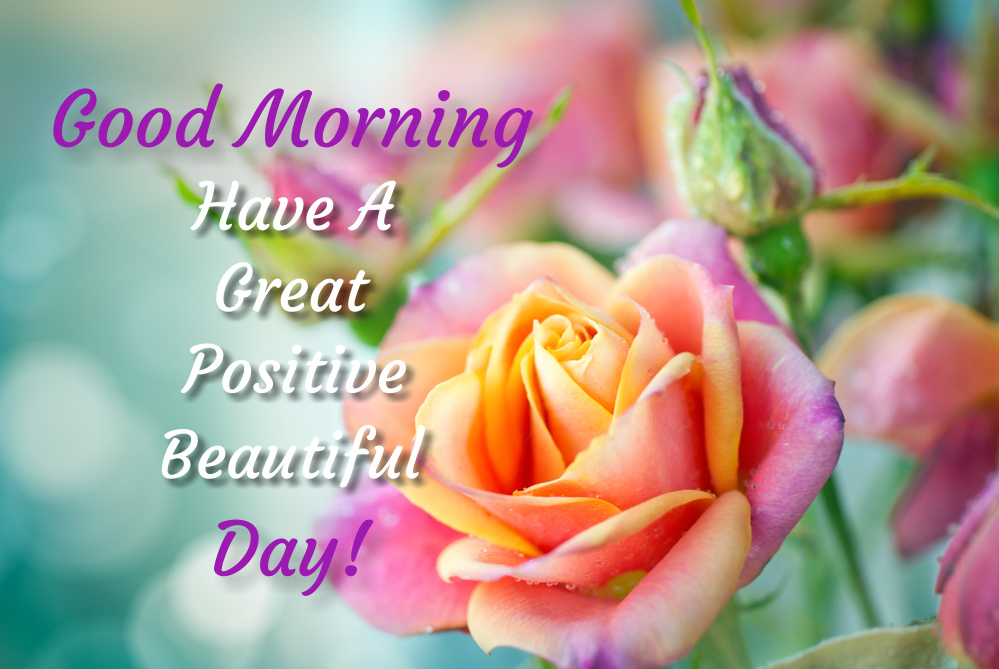 Beautiful pink roses on a soft background with nice morning wishes. Words of morning wishes: Good Morning! Have A Great Positive Beautiful Day! This delicate picture with charming flowers in delightful colors will give a special person some pleasant emotions at the beginning of the day. Give your piece of warmth to the person who is important to you and whom you want to please and charge with positive energy for the whole day.