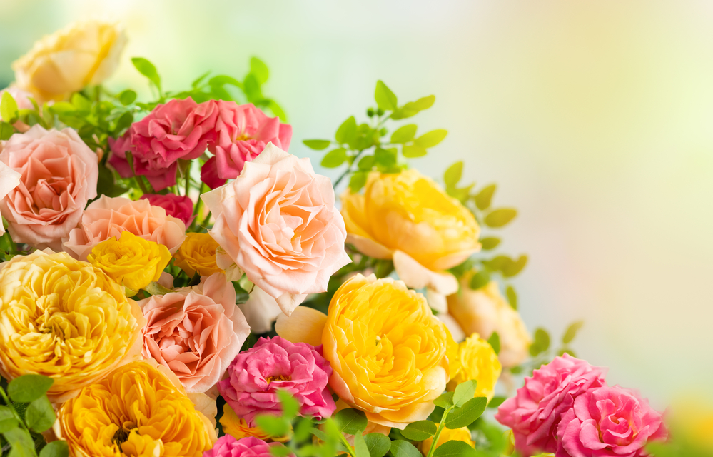 Beautiful bouquet of roses. Colorful flowers festive background.