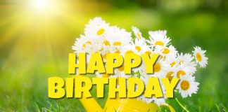 Close-up photo of bright flowers in a pleasant composition against the backdrop of nature on a warm sunny day. Wishing a happy birthday to make the person feel special and loved.