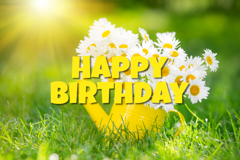 Beautiful bunch of wonderful flowers in watering can. Delicate white chamomile flowers in the yellow and green tones of nature. An original card with the birthday spirit of a special person. A wonderful bright message of warmth for a happy birthday. Happy Birthday to you, nice person!