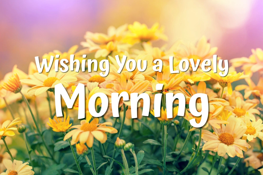 Beautiful bouquet of yellow chrysanthemums close-up. Morning beauty at sunrise. Sweet words of greeting "Wishing you a lovely morning".